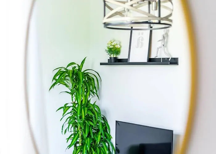 Casa Tres By Jungle House Near Convention Center Osu & Nationwide Arena Walk To High Street Downtown & Short North 5 800 Reviews Private Parking Сasa de vacaciones *