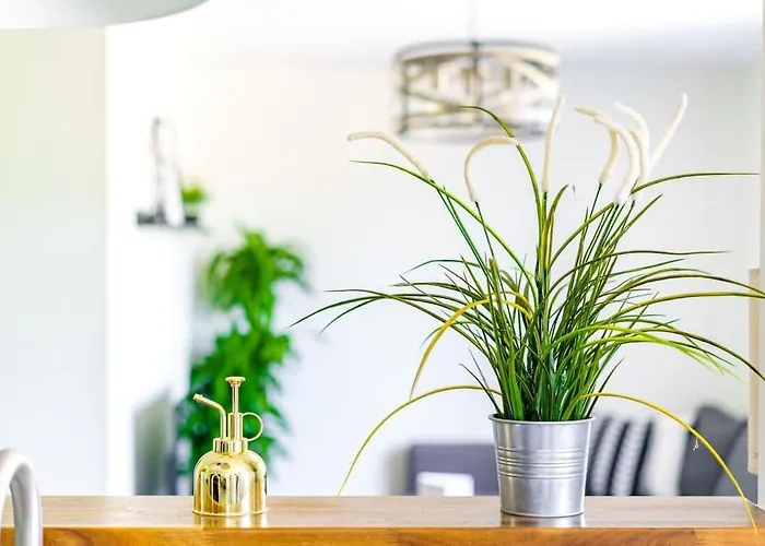 Casa Tres By Jungle House Near Convention Center Osu & Nationwide Arena Walk To High Street Downtown & Short North 5 800 Reviews Private Parking Сasa de vacaciones *